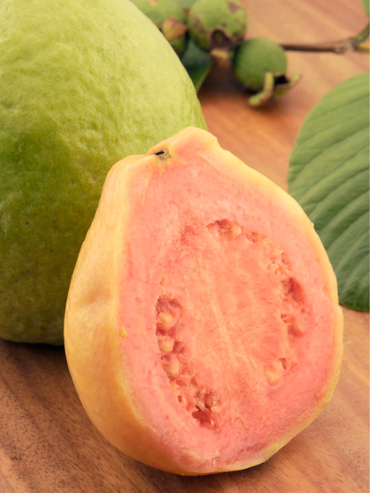Guava Creme Frozen Yogurt Flavor with Vanilla base powder mix