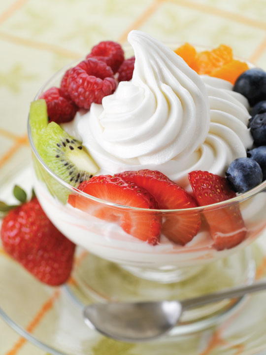 Bowl of Delicious Tart Frozen Yogurt with Berries