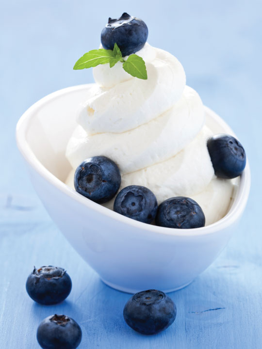Bowl of Delicious Vegan Frozen Yogurt with Blueberries
