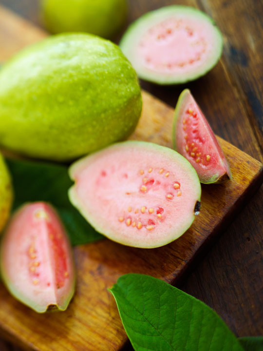 Vanilla Guava Creme Frozen Yogurt Flavor with Vanilla base powder mix