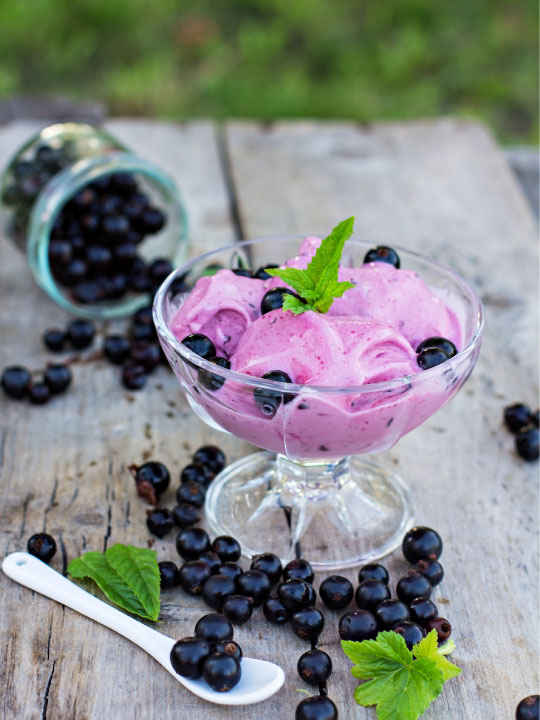 Bowl of Delicious Berry Frozen Yogurt Sorbet