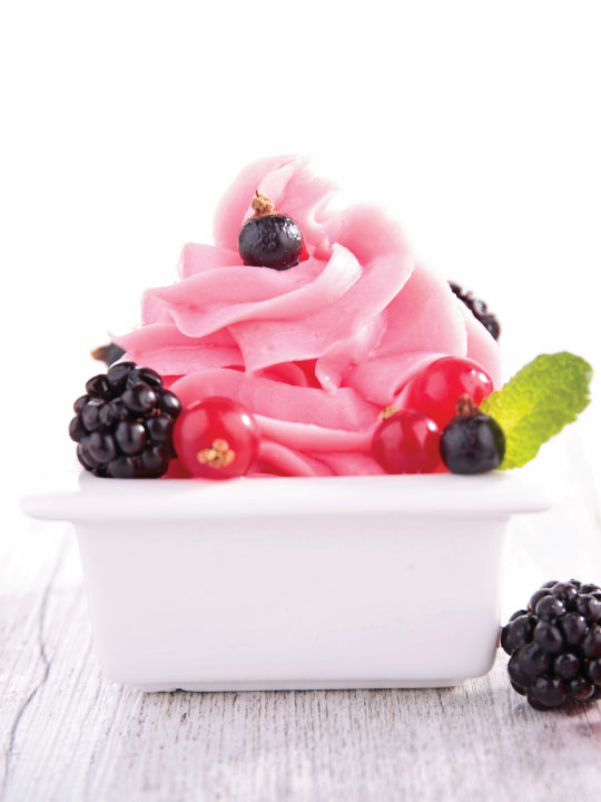 Bowl of Delicious Sorbet Frozen Yogurt with Strawberries